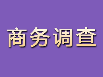 石龙商务调查